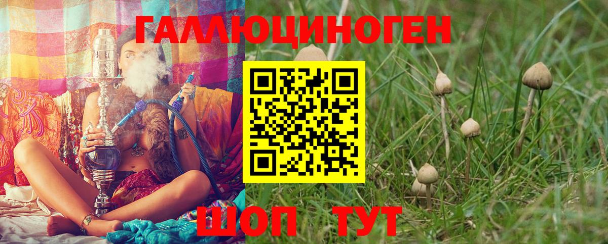 Галлюциногенные грибы мицелий  Вход с VPN  Кулебаки  Псилоцибиновые грибы прущие грибы 