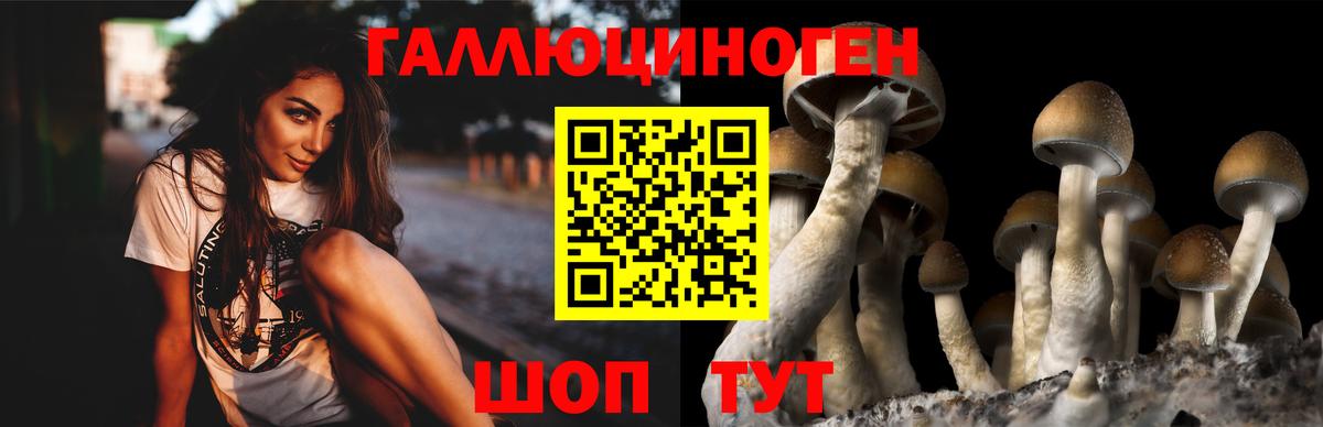 Галлюциногенные грибы прущие грибы Кулебаки